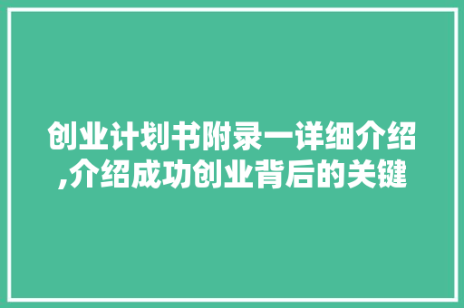 创业计划书附录一详细介绍,介绍成功创业背后的关键要素