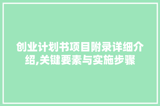 创业计划书项目附录详细介绍,关键要素与实施步骤