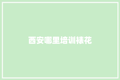 西安哪里培训裱花