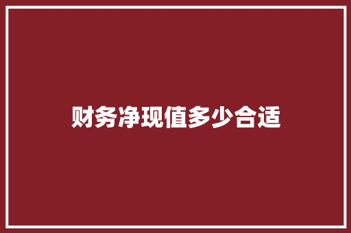 财务净现值多少合适