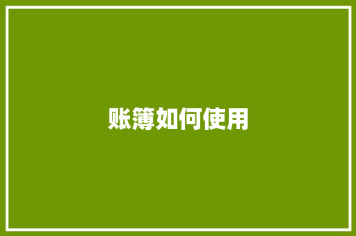 账簿如何使用