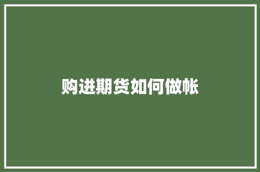 购进期货如何做帐