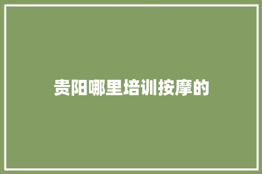 贵阳哪里培训按摩的 项目报告