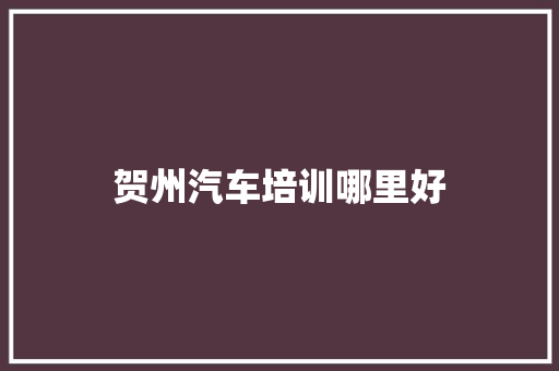 贺州汽车培训哪里好
