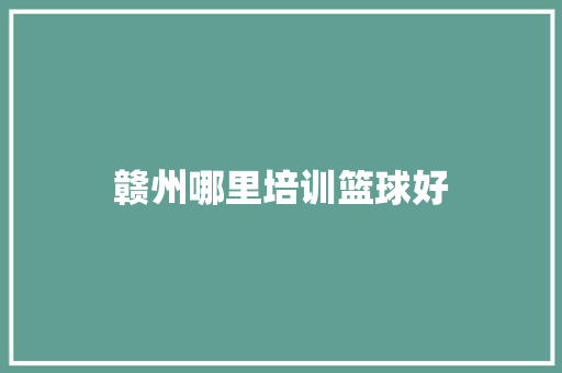 赣州哪里培训篮球好