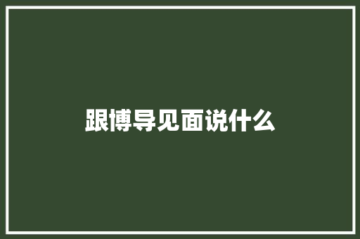 跟博导见面说什么