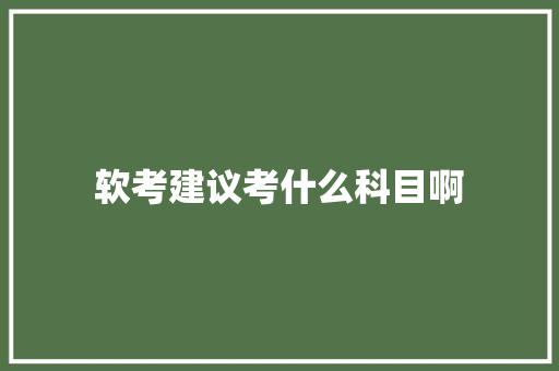 软考建议考什么科目啊