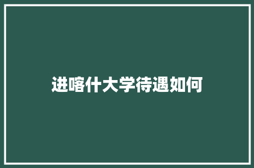 进喀什大学待遇如何