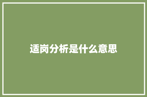 适岗分析是什么意思