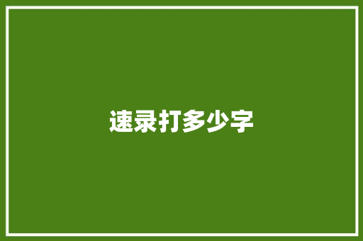 速录打多少字