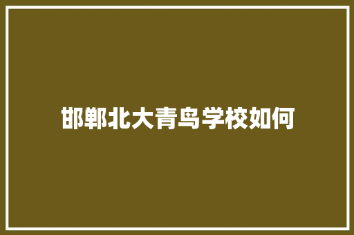 邯郸北大青鸟学校如何