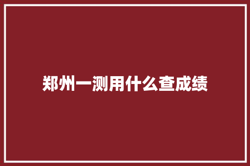 郑州一测用什么查成绩