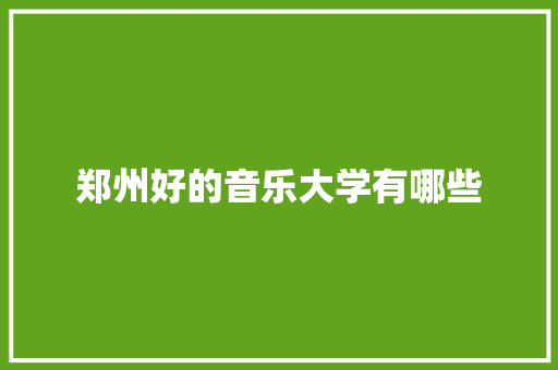 郑州好的音乐大学有哪些