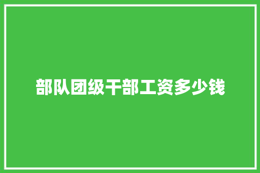部队团级干部工资多少钱