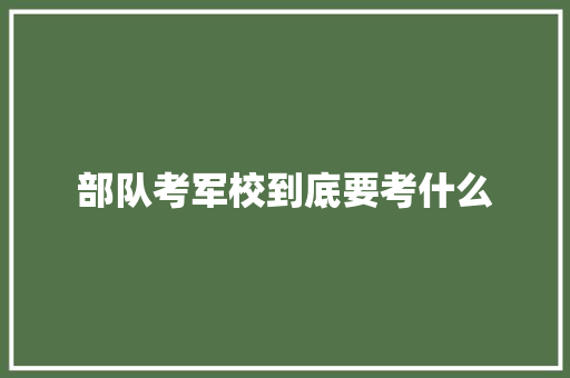 部队考军校到底要考什么
