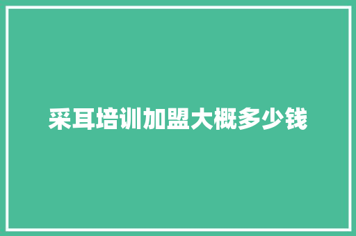采耳培训加盟大概多少钱