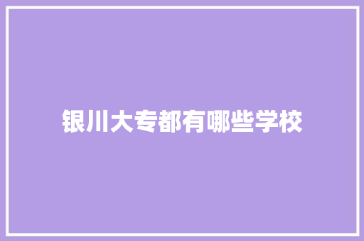 银川大专都有哪些学校