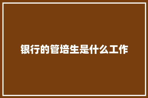 银行的管培生是什么工作