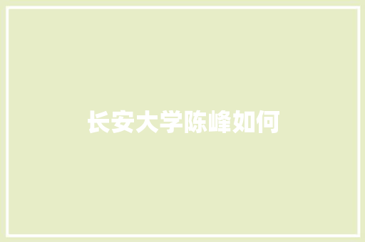 长安大学陈峰如何
