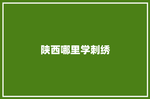 陕西哪里学刺绣