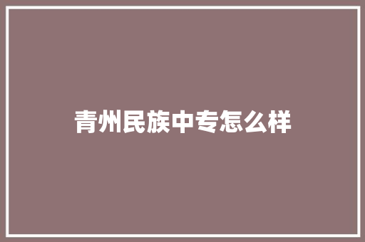 青州民族中专怎么样 工作总结