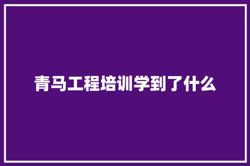 青马工程培训学到了什么