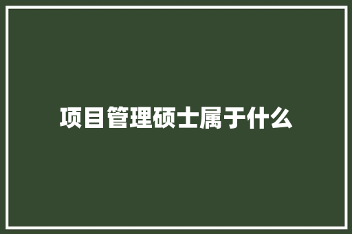 项目管理硕士属于什么