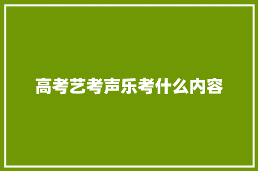 高考艺考声乐考什么内容