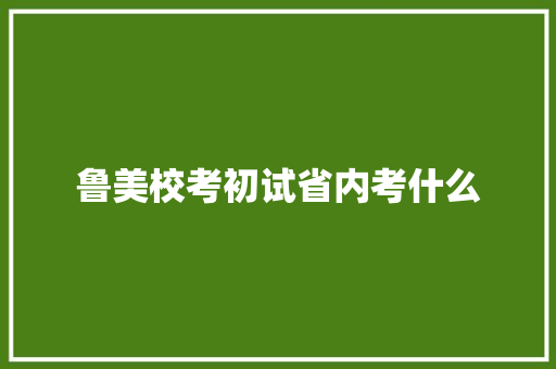 鲁美校考初试省内考什么