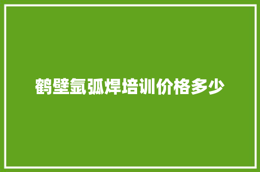 鹤壁氩弧焊培训价格多少