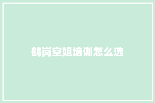 鹤岗空姐培训怎么选