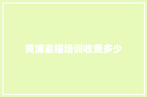 黄浦素描培训收费多少