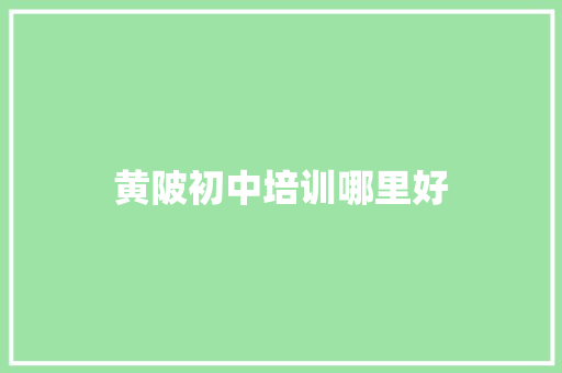 黄陂初中培训哪里好