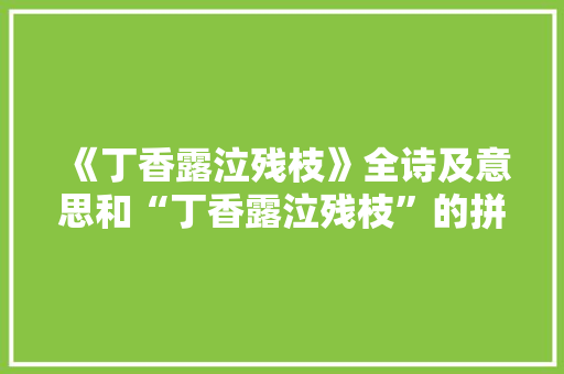 《丁香露泣残枝》全诗及意思和“丁香露泣残枝”的拼音注释
