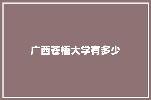 广西苍梧大学有多少