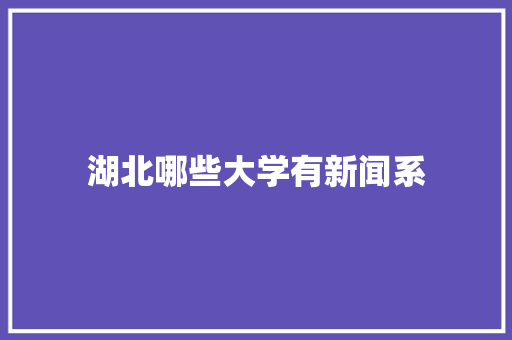 湖北哪些大学有新闻系