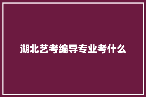湖北艺考编导专业考什么