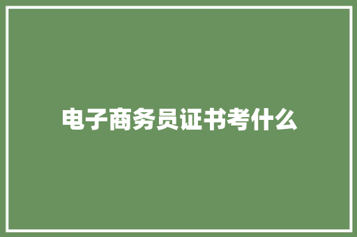 电子商务员证书考什么
