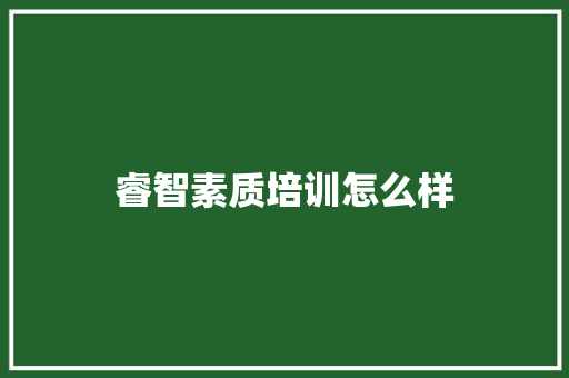 睿智素质培训怎么样