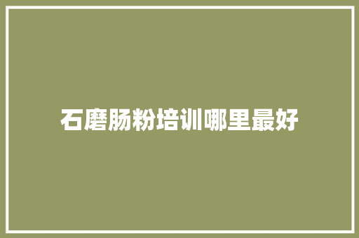 石磨肠粉培训哪里最好