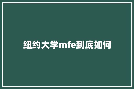 纽约大学mfe到底如何