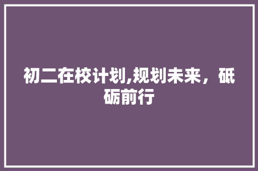 初二在校计划,规划未来，砥砺前行