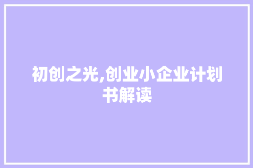 初创之光,创业小企业计划书解读