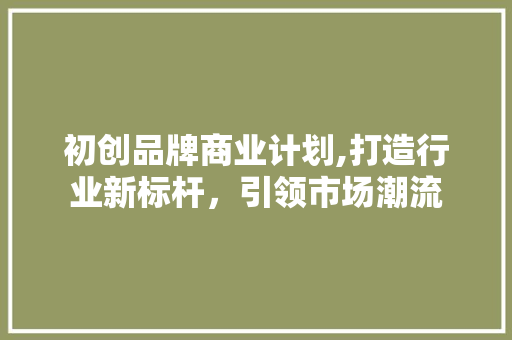 初创品牌商业计划,打造行业新标杆，引领市场潮流