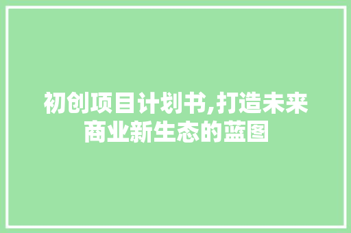 初创项目计划书,打造未来商业新生态的蓝图 会议纪要