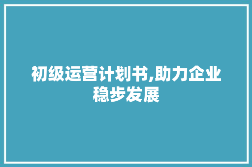 初级运营计划书,助力企业稳步发展 会议纪要