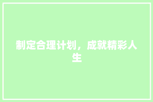 制定合理计划，成就精彩人生
