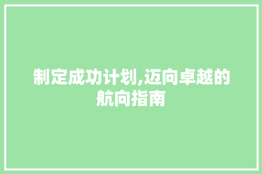 制定成功计划,迈向卓越的航向指南