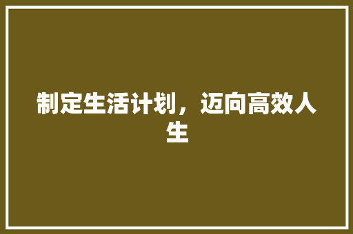 制定生活计划，迈向高效人生