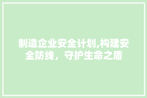 制造企业安全计划,构建安全防线，守护生命之盾